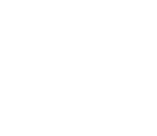 ISH & CO
